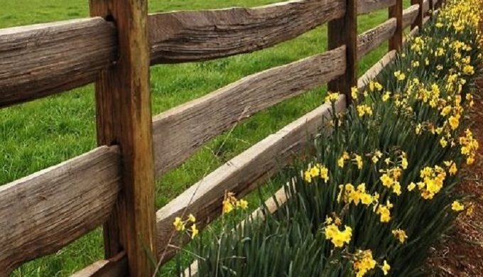 Springtime Curb Appeal Projects to Add Texas Hill Country Charm to Your Yard
