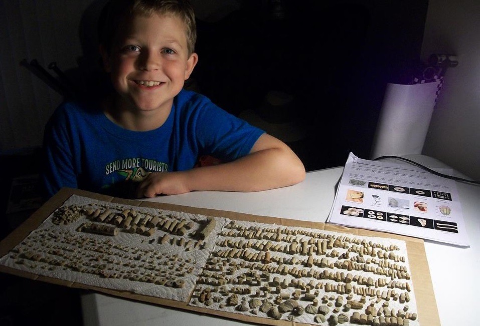 Hunt For and Keep Free Fossils at Mineral Wells Fossil Park