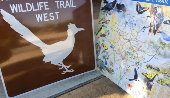 Heart of Texas Wildlife Trails Give Texas Travelers an Insider’s Look at the Lone Star State