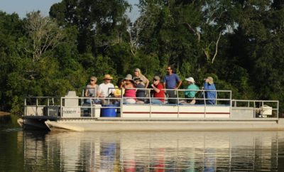 eco boat tours