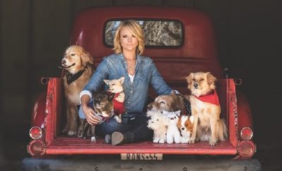 MuttNation Foundation