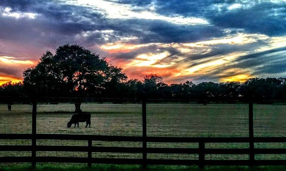 Dripping Springs Real Estate Buyer Advantage in a Hot Texas Hill