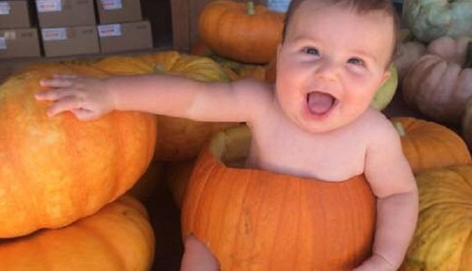 Hill Country Pumpkin Patches Ripe for the Pickin’…and Grinnin’