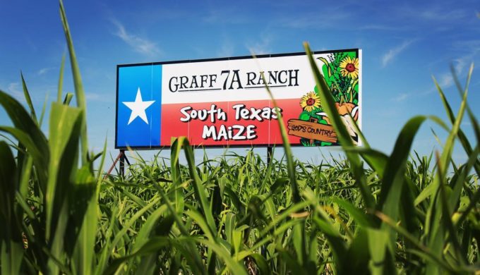 For A-MAIZE-ing Family Fun This Fall, Visit the South Texas Maize