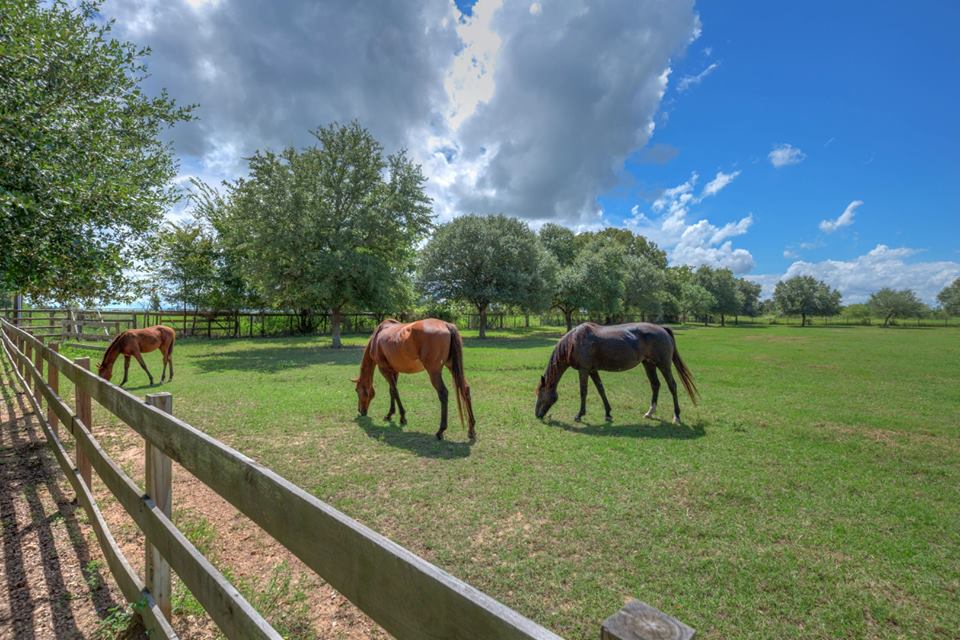 10-biggest-ranches-in-texas