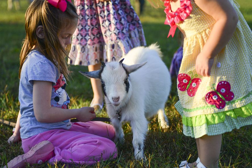 Goldthwaite Goat CookOff has Got the Goods for a Great Spring Weekend