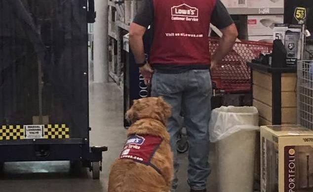 Texas Lowe’s Hires Disabled Vet & His Service Dog