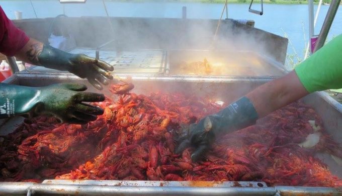 2019 Llano Crawfish Open: Mouth-watering Food & Famous Country Stars