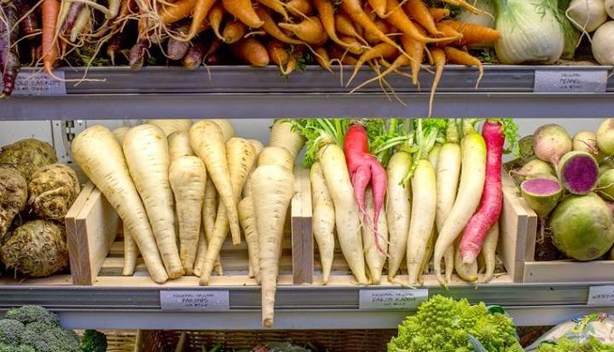 16426094_10155129646985832_8150543767323032756_n