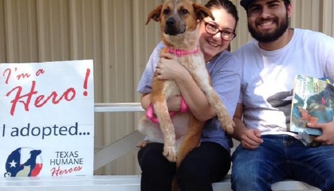 Fritos Family Reunion! Texas Humane Heroes Hosts Special Event For Lovingly Adopted Dog