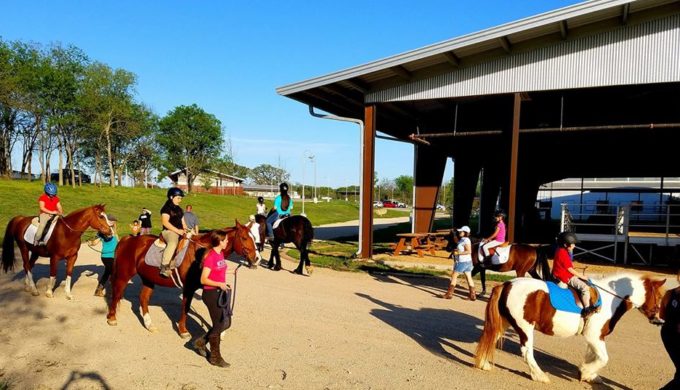 Mini Horses Are a Powerhouse Duo When it Comes to Teaching Kids a Caring Bond