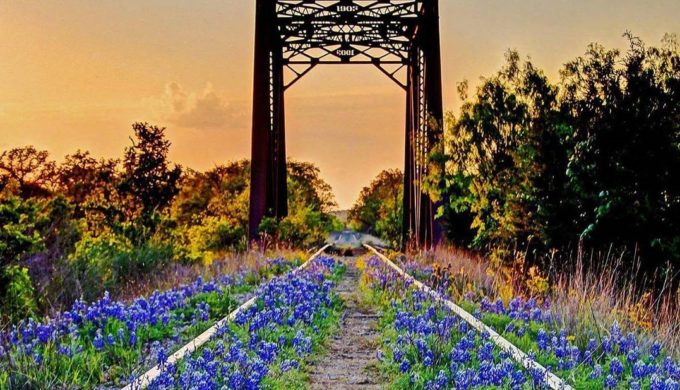 Signs of Springtime in Texas That Will Make Your Day Better