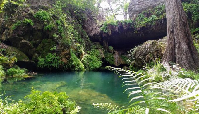 5 Swimming Hot Spots in Texas When It’s Sweltering Outside