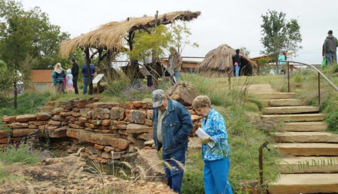 Let the Good Times Roll at Mardi Gras, Goldthwaite-Style
