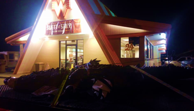Cowboy Ropes Massive Alligator Stopping Texas Traffic in Its Tracks Cowboy Ropes Massive Alligator Stopping Texas Traffic in Its Tracks