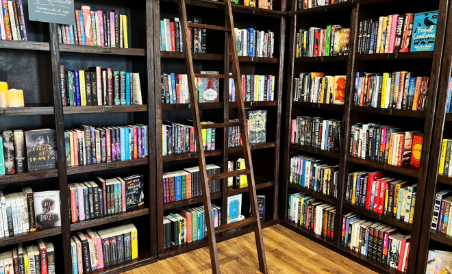 Wild Lark Books: New Independent Bookstore Spreads its Wings