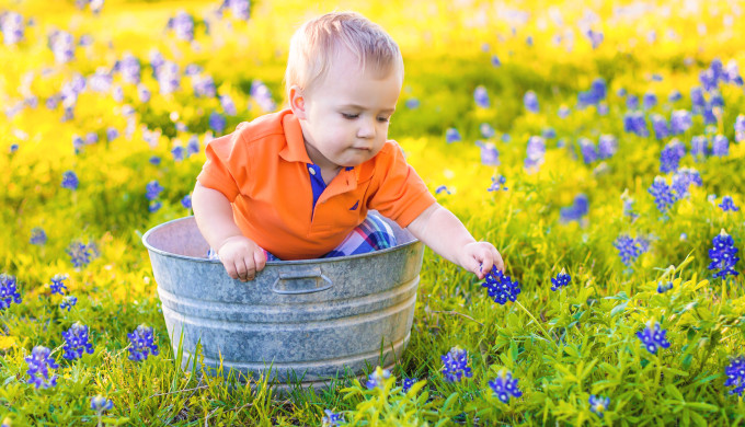 baby_bucket_bluebonnets baby_bucket_bluebonnets