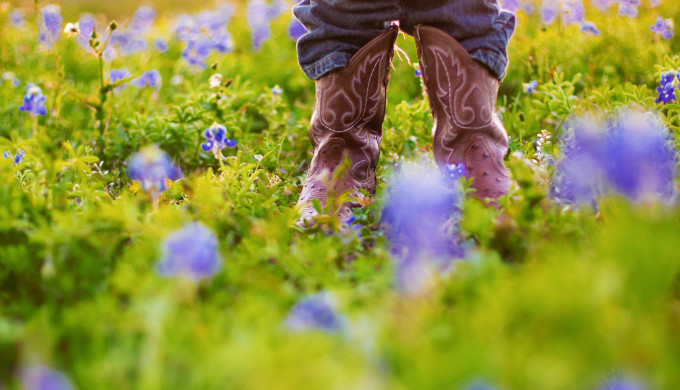 boots_bluebonnets boots_bluebonnets