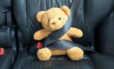 Teddy Bear with a seat belt