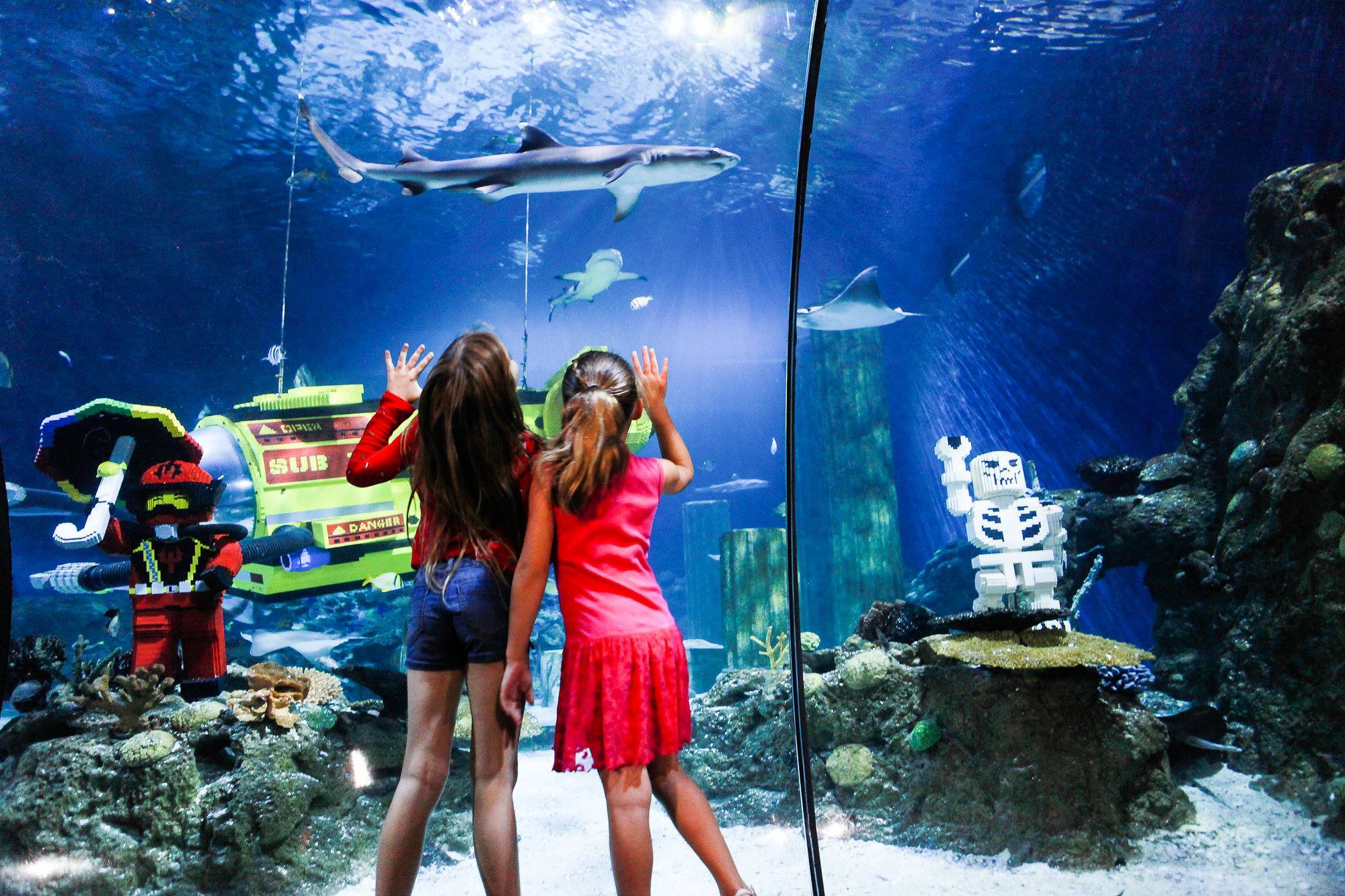 San Antonio: LEGOLAND Discovery Center/Sea Life Aquarium ...