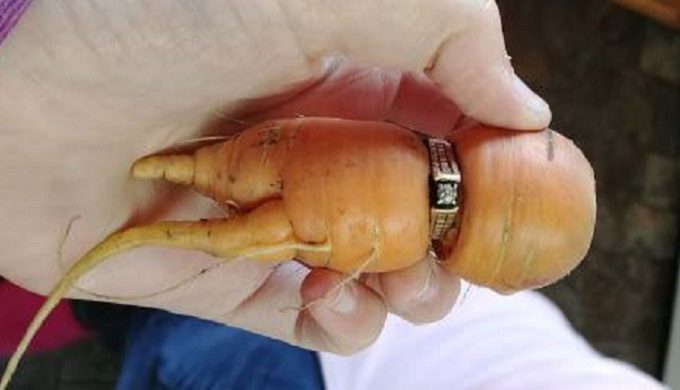 Diamond Engagement Ring Comes Up on a Carrot 13 Years After Loss