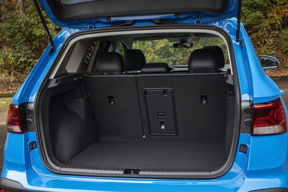 22 Taos trunk (1) Texas Hill Country