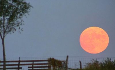 October 5 Promises a Harvest Moon: Farmers & Photographers Delight