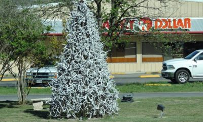 The Deer Horn Tree in This Texas Town Draws a Crowd