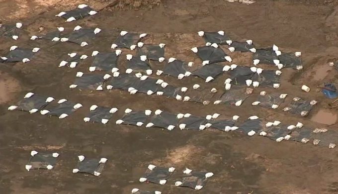 Remains of 95 People Found at Texas Construction Site: Historic Cemetery Unearthed