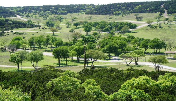 Texas Safari: Dine at the Overlook Cafe While Watching Exotic Animals