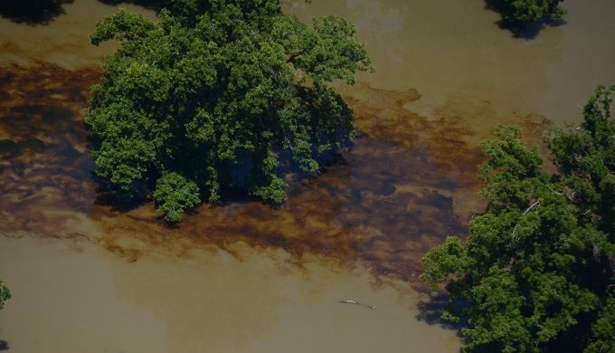 635975532060334703-LowerTrinityRiverEast608-20150608-DSC-0048 635975532060334703-LowerTrinityRiverEast608-20150608-DSC-0048