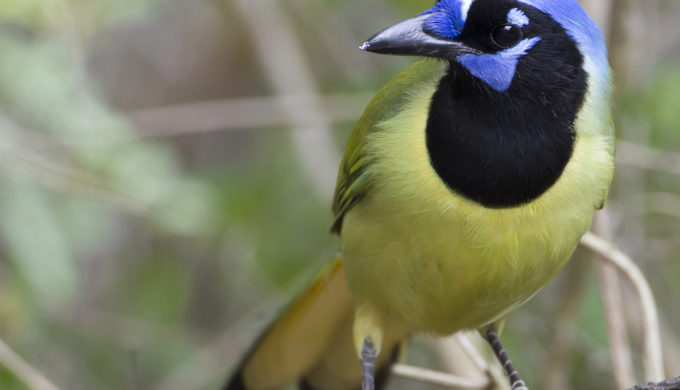 8258743093_28cd7f82fa_k 8258743093_28cd7f82fa_k