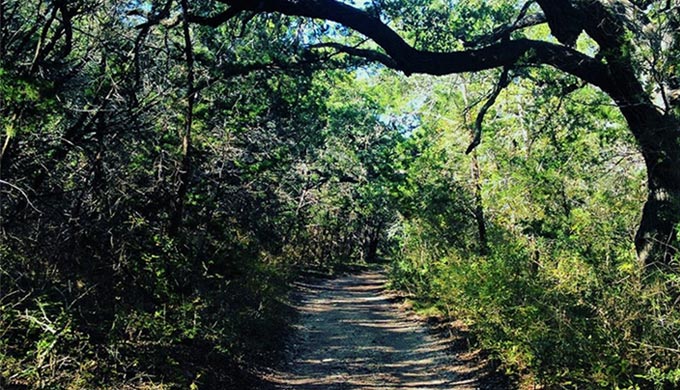 A Trek Through Time – Government Canyon State Natural Area