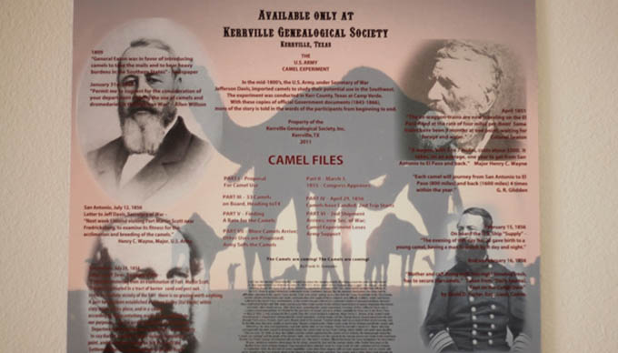 A Priceless Gem for Genealogists