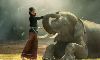 animal human friendship