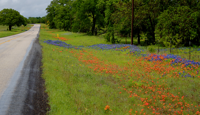 15 Best Bike Trails in the Hill Country