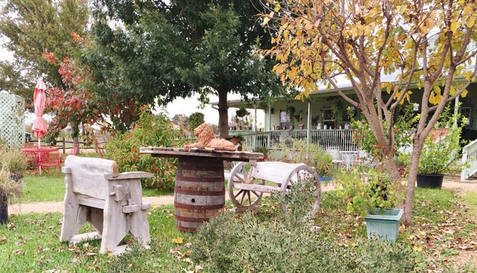 Bariloche Farms – A Harvest of Local Treasures