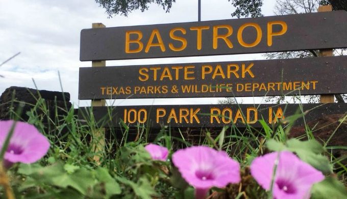 Bastrop State Park