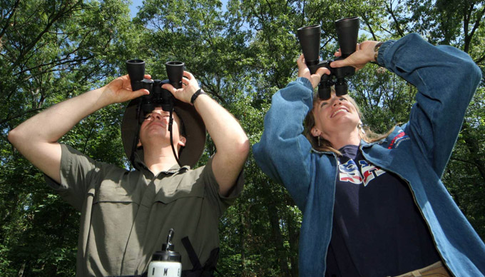 Bird Watching in The Texas Hill Country
