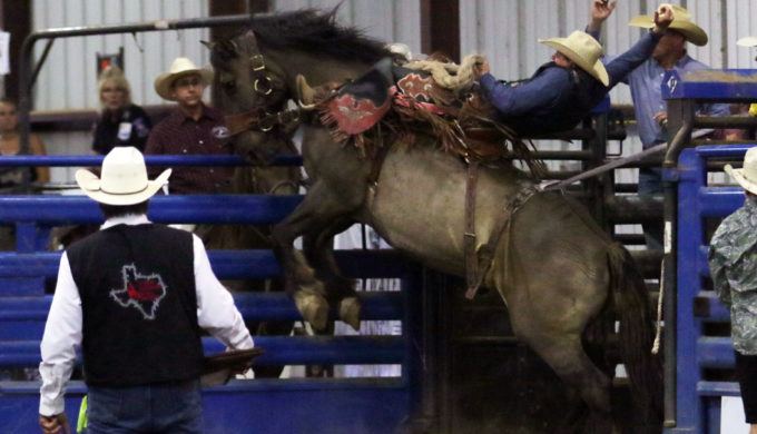 Have a Wild Ride at the 84th Llano Open Pro Rodeo