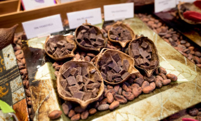 Calling All Chocolate Lovers: Dallas Chocolate Festival Returns