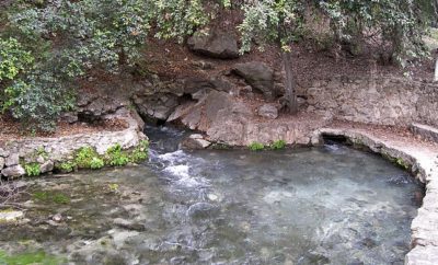 Comal Springs is One of the Many Outlets for Edwards Aquifer