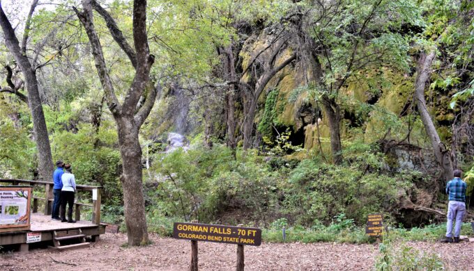Camping at the River's Edge: Colorado Bend State Park