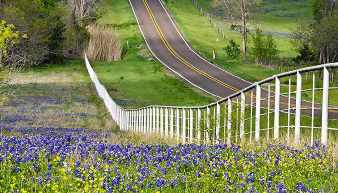 Driving the Hill Country by Leena Robinson