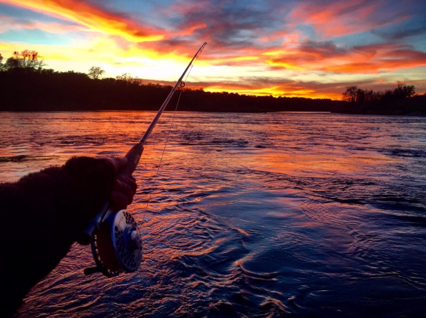Caussey's Corner: Fishing from the Bank, a Texan's Memories