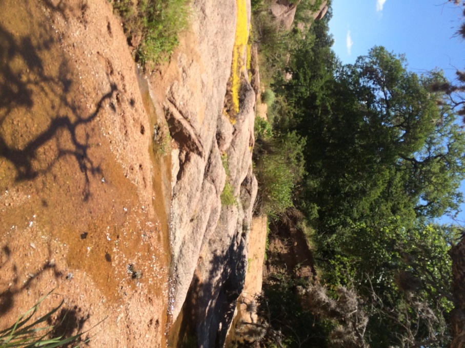 ERSNA Seasonal Creek on Dome Texas Hill Country