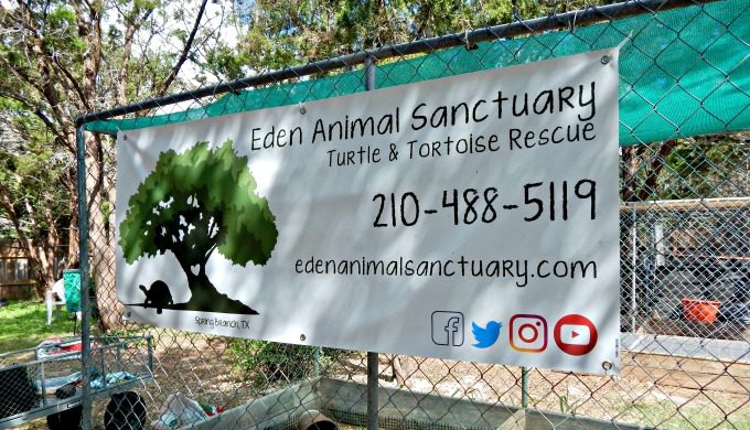 Eden Animal Sanctuary