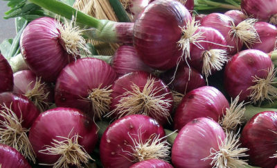 Onions: The Natural Way to Fight Colds and Flu