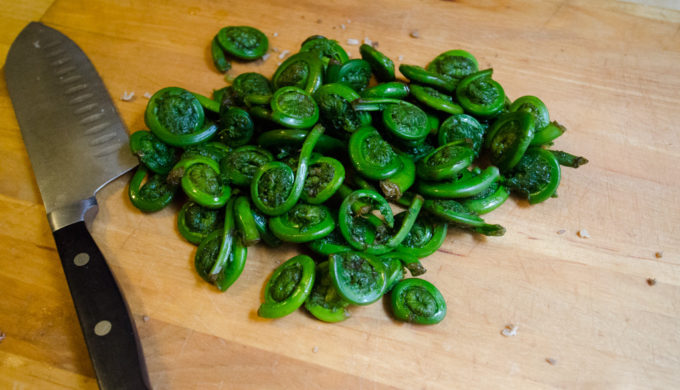 Fiddlehead Ferns Fiddlehead Ferns