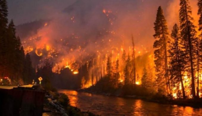 Wildfires Cause Chaos in East Tennessee